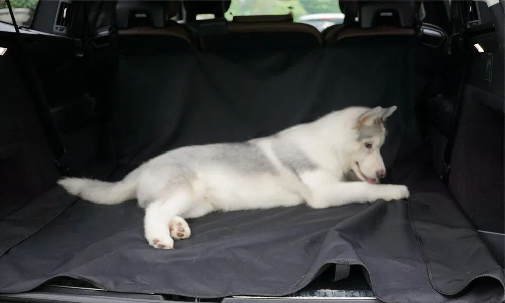 Waterproof    Dog Rear Car Seat Cover