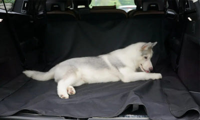 Waterproof    Dog Rear Car Seat Cover