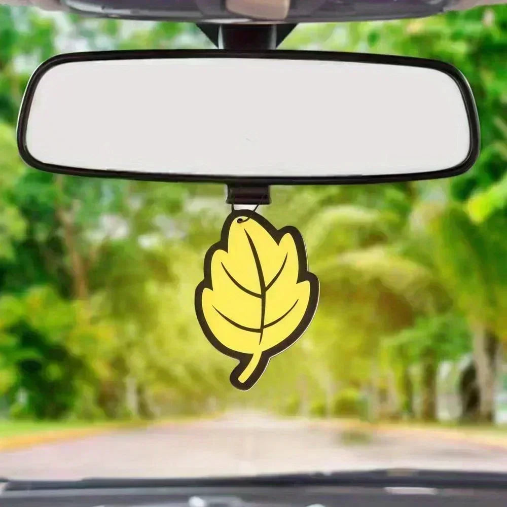 6Pack Naturally Scented Car Air Freshener