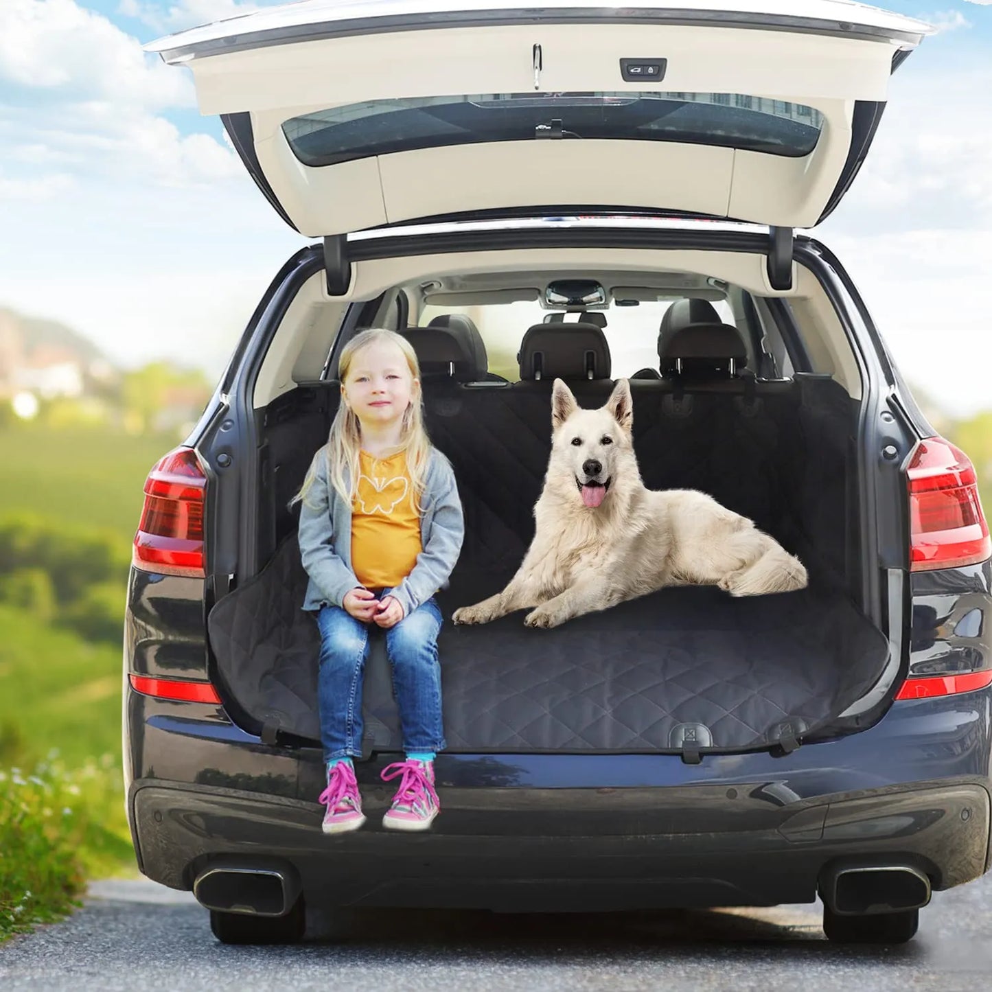 Dog Car Seat Cover For Car Rear Back